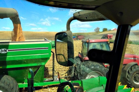 corn into cart, edited, Doug's farm in background