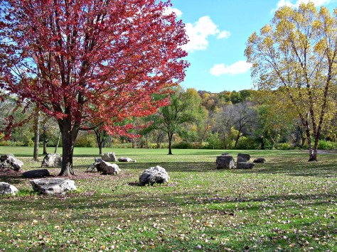 fall with stones for blog, edited DSCN2020