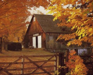barn in autumn for blog jpg