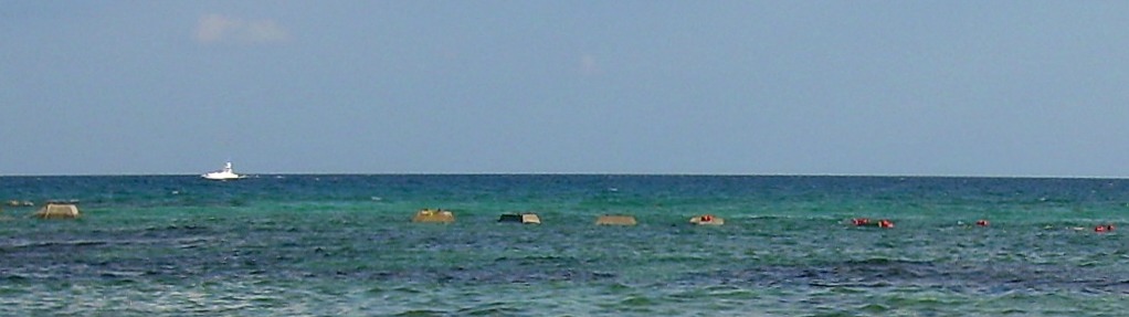 DSCN2154.jpg length crop for blog