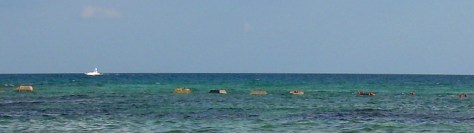 DSCN2154.jpg length crop for blog