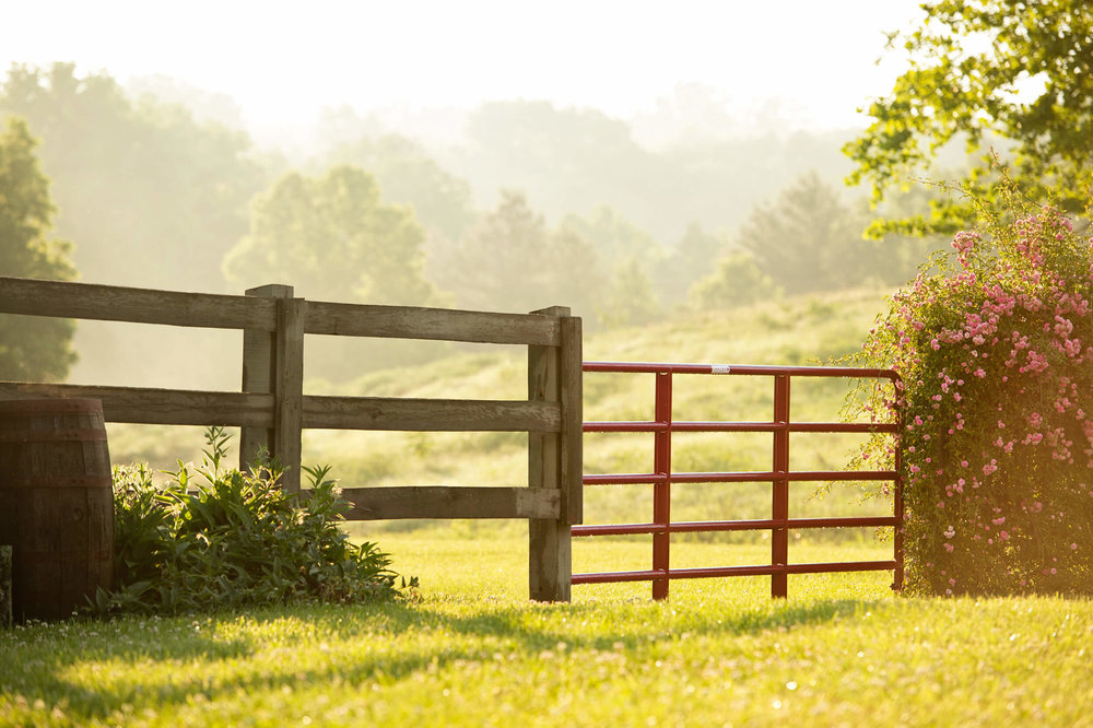 Gate, field free
