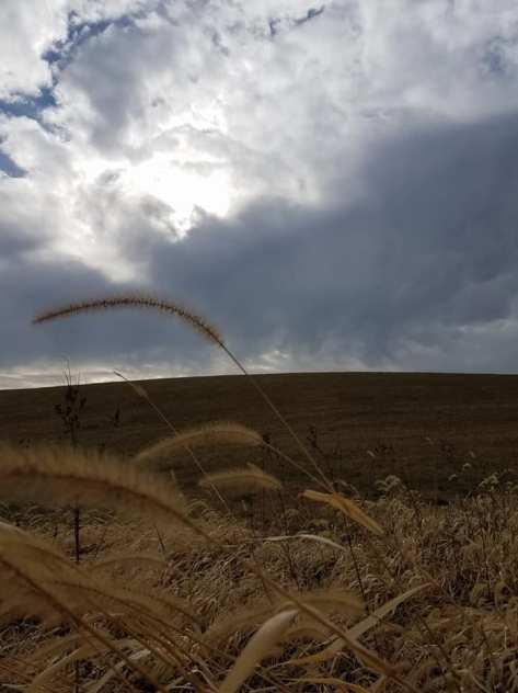Hill in December outside Orion 3