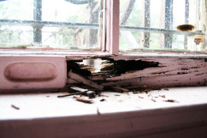 Kuppersmith window-rot-small